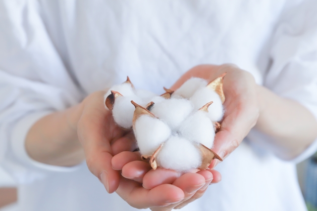 オーガニックコットン