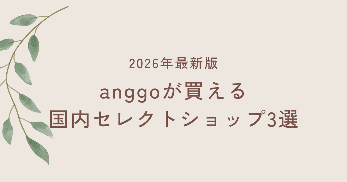 2026年最新｜anggoが買える国内セレクトショップ3選